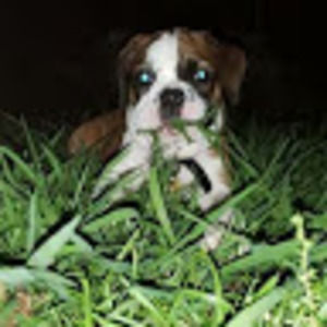 Meet your Posher, Wes april